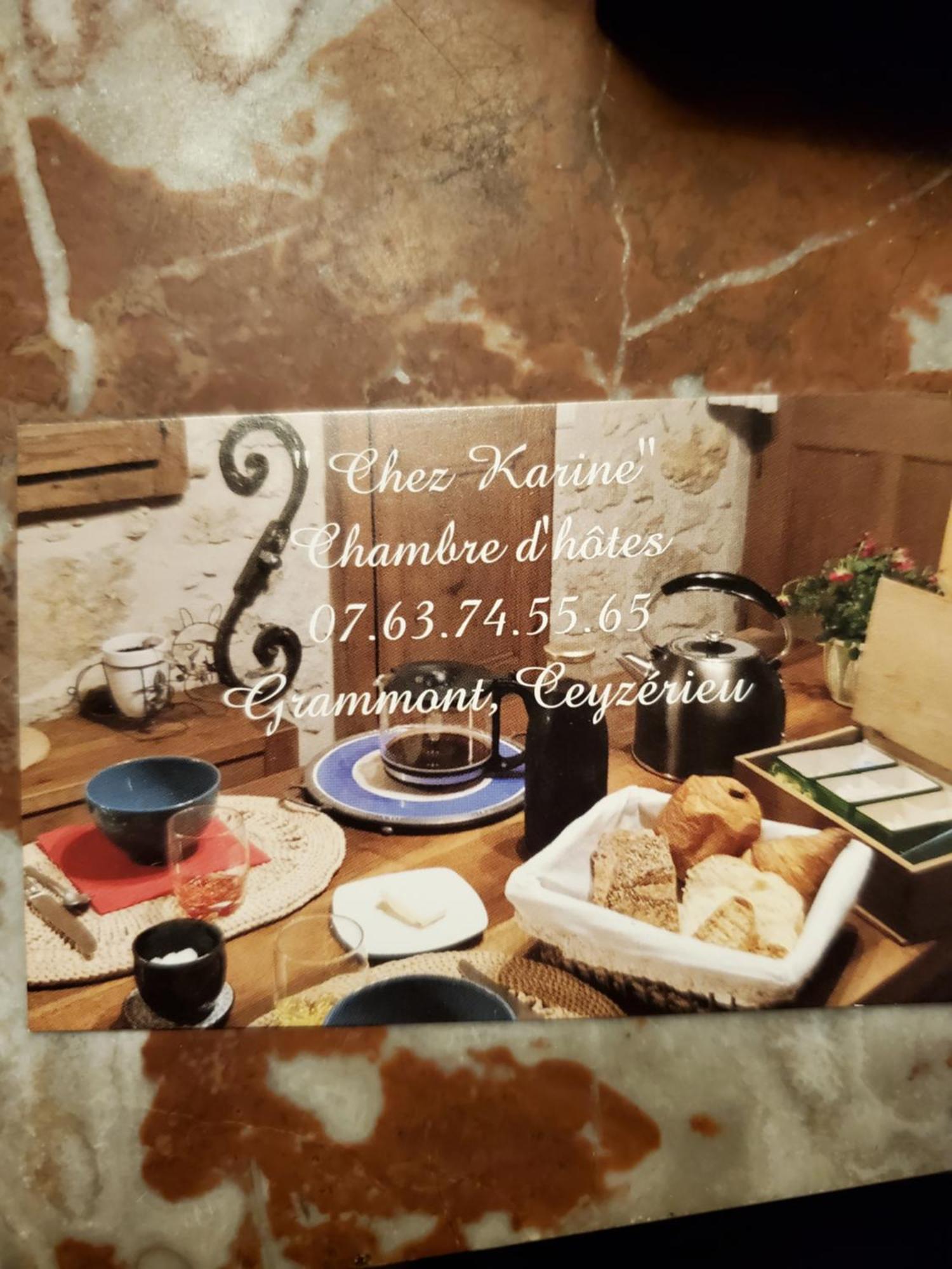 Chez Karine Bed & Breakfast Ceyzerieu Екстериор снимка
